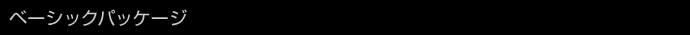 x[VbNpbP[W